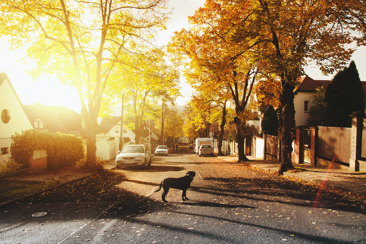 Greater Toronto Area Real Estate Market Update: August 2025